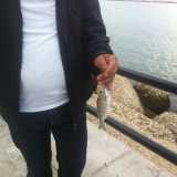 Mormora pescata da Giuseppe